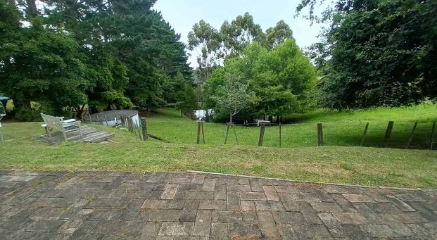 Huge one bedroom home, great outlook - Photo 1