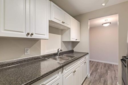 Renovated Suite - 2 Bedroom - Photo 3