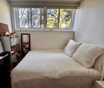 Bellevue Hill - Photo 1