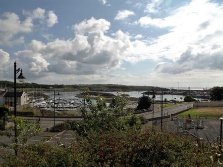 2 Kildare Quay, Downpatrick, Ardglass, BT30 7RT - Photo 3