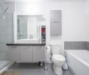 245 Rue Maguire, app.512, H2T 0A4, H2T 0A4, Montréal - Photo 4