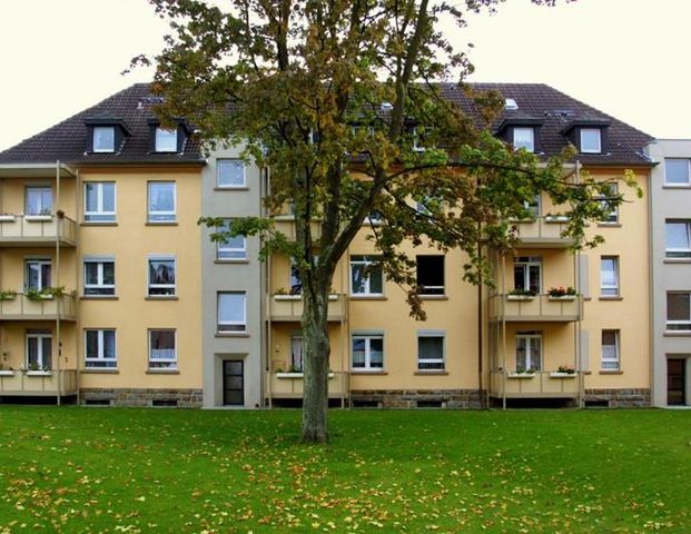 Gepflegte Wohnung im Blumenviertel neu zu vermieten - Photo 1