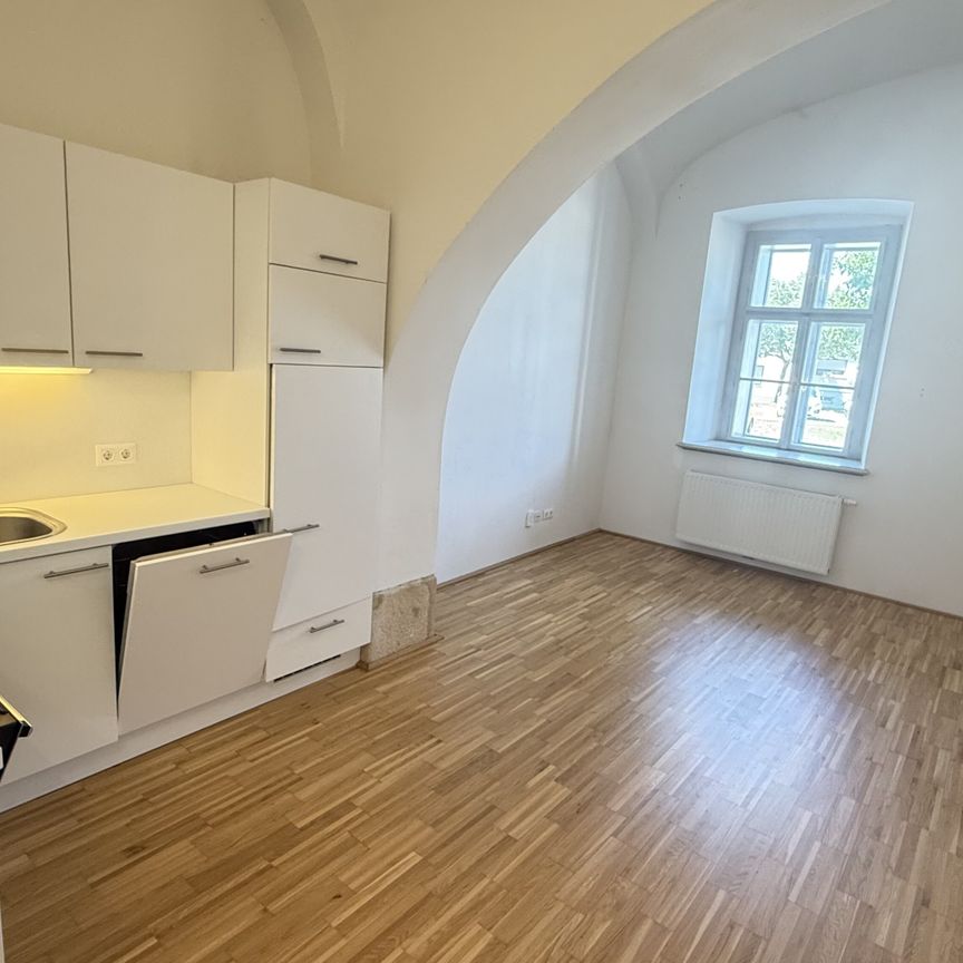 Residieren im Schloss! Haus 1/7 - Photo 1