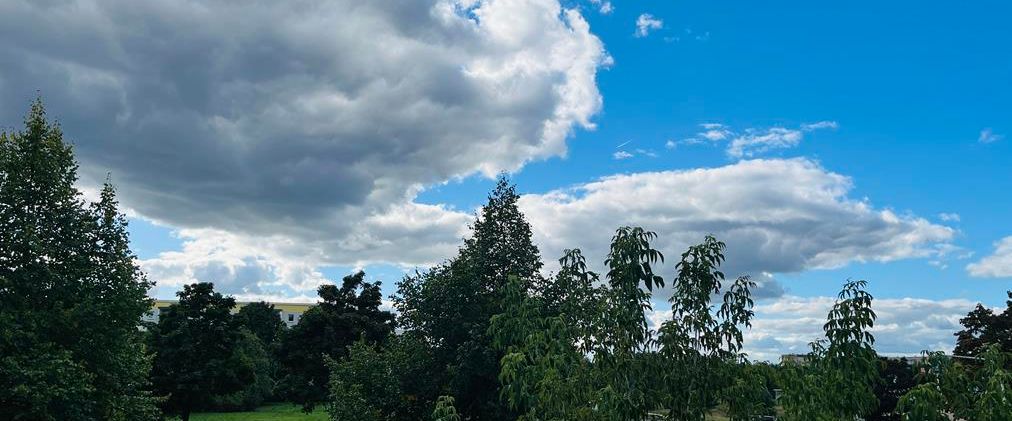 Frisch saniert – wie für Sie gemacht! - Foto 1
