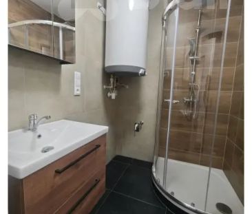 Pronájem zrekonstruovaného bytu 3+kk s lodžií, 62 m - Photo 3