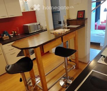 APPART DARTISTE MEUBLE PROCHE CENTREVILLE/LAC PARC Z. BLEU - Photo 6