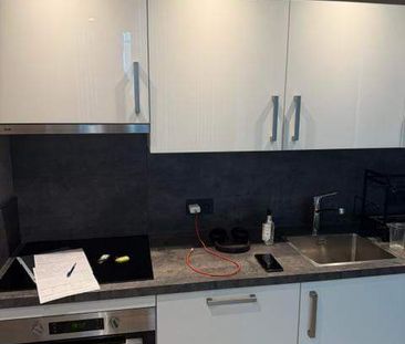 Studio Zijpendaalseweg 168, Arnhem - À Louer - Photo 3