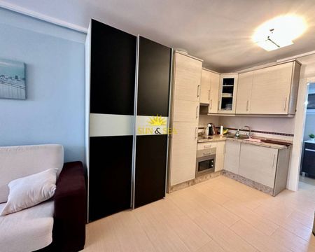 RENOVATED STUDIO FOR RENT IN TORREVIEJA - ALICANTE PROVINCE - Photo 5