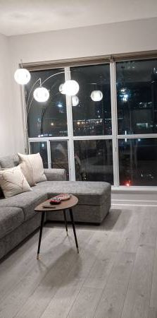 Spacious super clean Downtown Toronto Furnished Condo with Parking ava - Photo 1