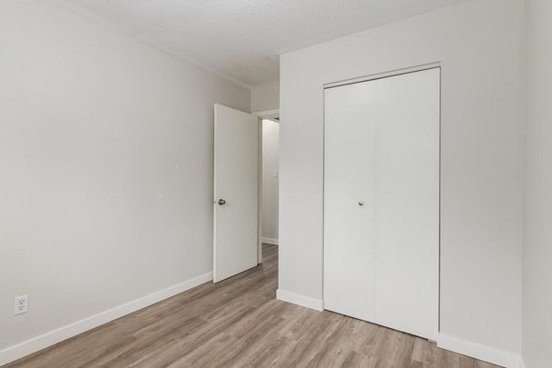 Renovated Suite - 3 Bedroom - Photo 1