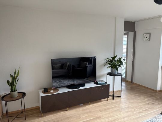 4.5 Zimmer, 90 m², 4. Stock - Photo 1