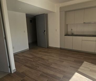 Departamento 1 recamara con electrodomésticos y amenidades colonia ... - Foto 6