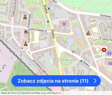 Mieszkanie do wynajęcia, 150 m², 5 pokoi Siemianowice Śląskie Centrum – zdjęcie 1