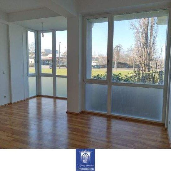 Wohnen am Großen Garten! Die perfekte Wohnung mit optimaler Raumaufteilung! - Photo 1