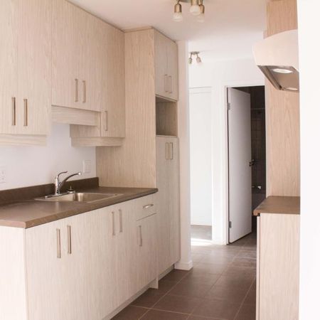 4 1/2 SITUÉ DANS UN SECTEUR PAISIBLE - ENTIÈREMENT RÉNOVÉ - 1355$/MOIS TOUT INCLUS, DISPONIBLE POUR NOVEMBRE - Photo 3