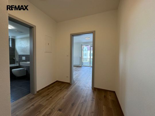 Pronájem bytu 1+kk v osobním vlastnictví 38 m², Dobřany - Fotografie 1