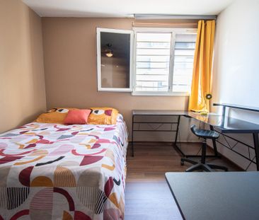 Location Appartement 1 pièce 19m² MOUFIA 97490 - Photo 2