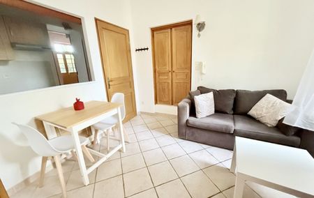 Location Appartement P1 Appartement T1 Meublé rénové(e) Roquemaure - Photo 4