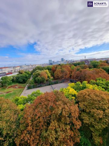 Kompakt. Modern. Zentral! Citynah wohnen mit Fernblick! Tolle Raumaufteilung + Perfekte Infrastruktur und öffentliche Anbindung! Schnell sein! - Photo 4