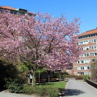 Landalabergen 35 - Photo 2