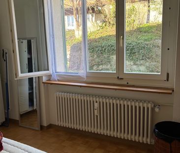 3 Zimmer, 65 m², EG - Photo 2