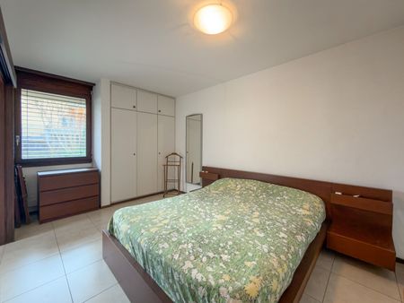 2.5 Zimmer, EG - Foto 2