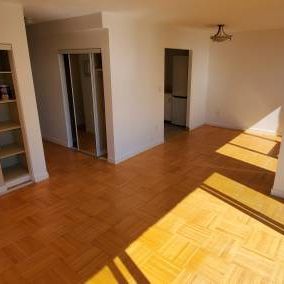 Large Bright Pet Friendly Studio available Dec. 15th - Photo 2