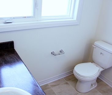 For Lease - 29 Greig Street, Brantford, Ontario - Photo 5