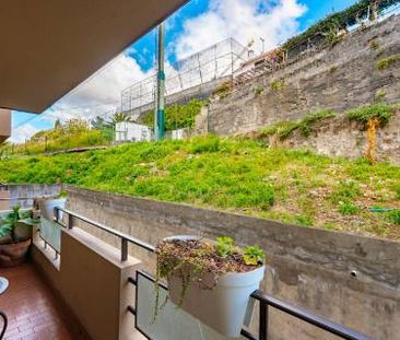 Apartamento T1 - Centro do Funchal - Foto 6