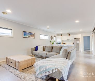 21 Marvins Pl Marshall - Photo 3