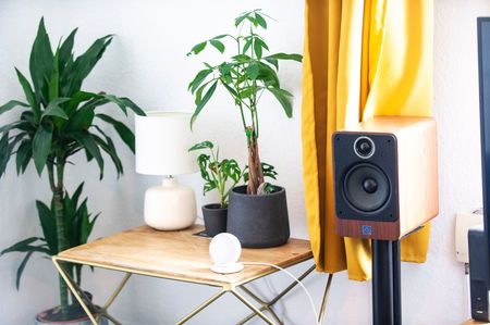 1 Bed Flat, Dalston Lane, E8 - Photo 5