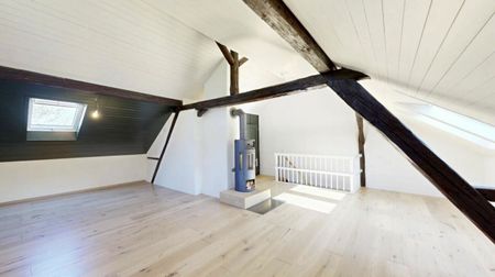 Renovated duplex apartment in the center! - Photo 5