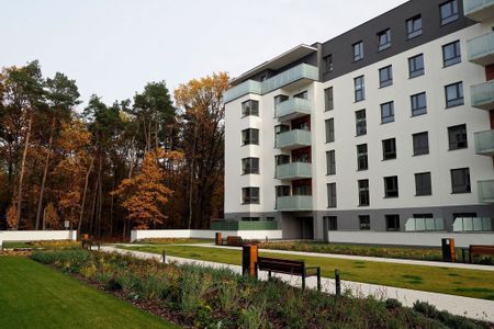 Uroczy Apartament osiedle Leśna! - Zdjęcie 3