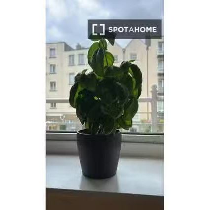 Studio for rent in North City, Dublin - Photo 4