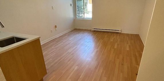 Studio - Saint-Charles-Borromée - $949 /mo - Photo 2