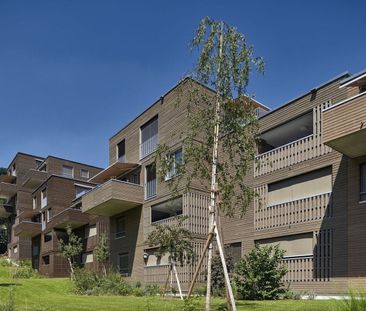 Moderne 3.5-Zimmer-Wohnung am Jurasüdfuss - Foto 2