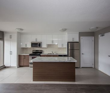 apartments at 1720 Paris Street - Photo 5