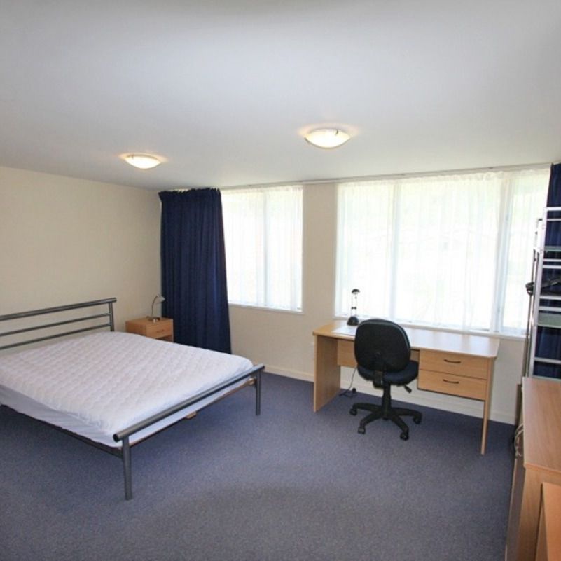 Room 3/8B Woodhaugh Street, Woodhaugh, Dunedin City - Photo 1