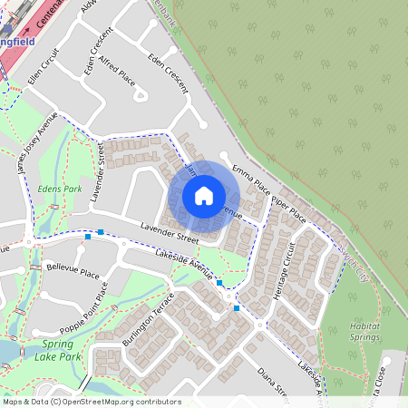 85 James Josey Avenue, 4300, Springfield Lakes Qld