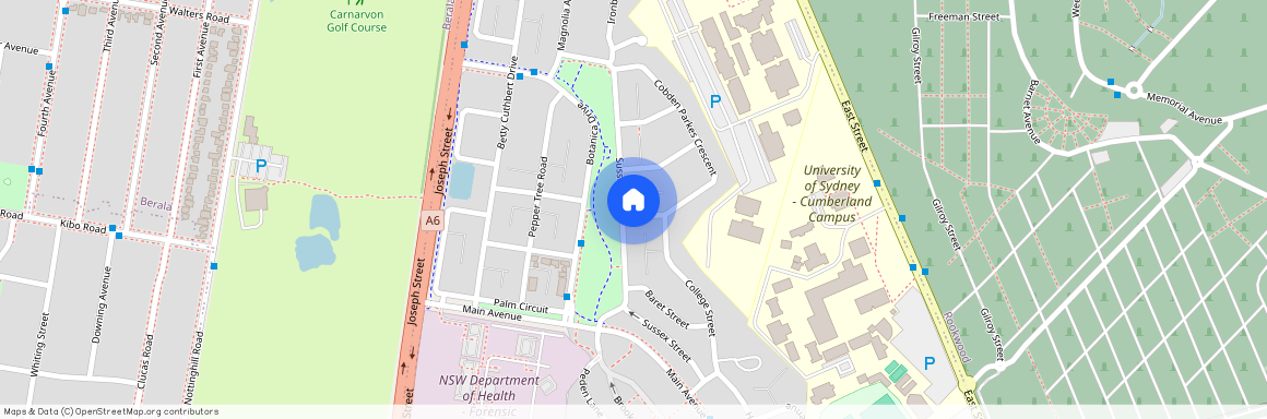 54 Sussex Street, Lidcombe NSW 2141