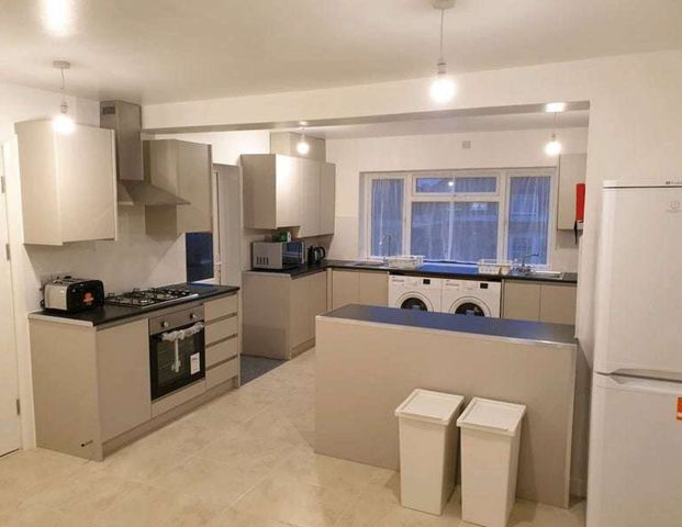 Alington Crescent Room 1 - Photo 1