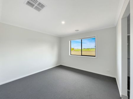 21 Webb Road, Bonshaw - Photo 3