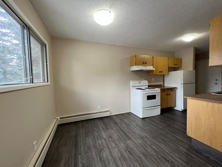 Pet Friendly 2 Bedroom 1 Bathroom Apartment - Photo 4