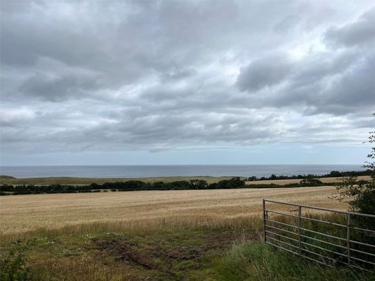 2 Old Cambus is a traditional stone build cottage in a tranquil rural setting boasting gorgeous sea views. - Photo 1