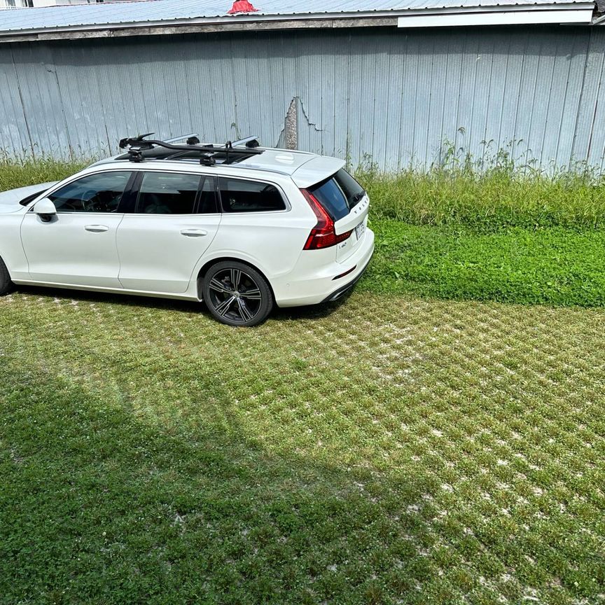 Appartement - 519 Rue St-Henri - Photo 1