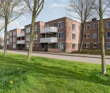 Kreekwaard 1824 Alkmaar - Foto 2