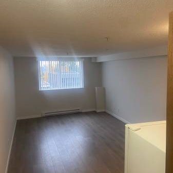 Bachelor / Studio - Available - Boundary & East Hastings - Photo 3