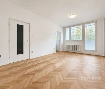 Pronájem útulného 1+KK po rekonstrukci, Ježkova - Photo 6