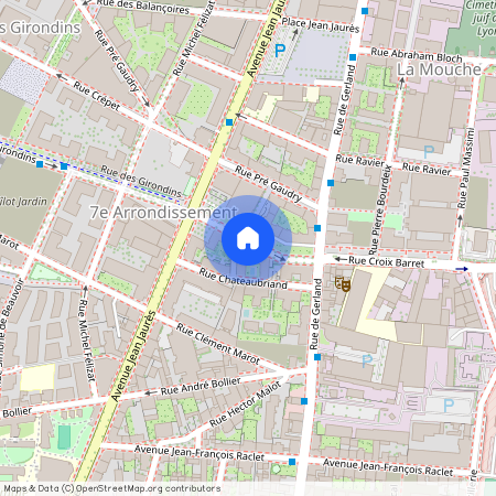 14 rue M. Madeleine Fourcade, 69007, Lyon