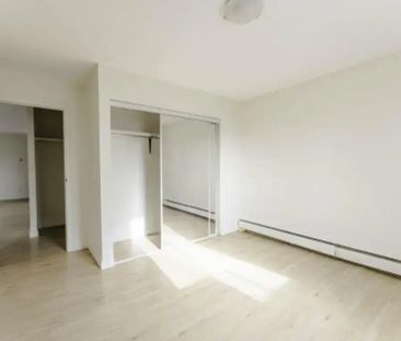 1 Bedroom - Photo 6